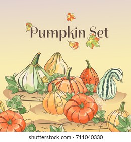 Set of hand drawn pumpkins