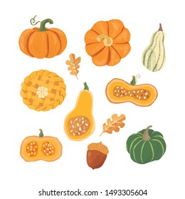 Set of hand drawn pumpkins. Autumn collection. Different pumpkins kinds, 
halfs and wholes, pumpkin pie. 