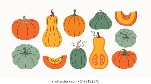 Set of hand drawn pumpkins, half with seeds and slices. Fall ripe vegetable. Autumn, Thhanksgiving and Halloween design elements. Vector flat illustration.