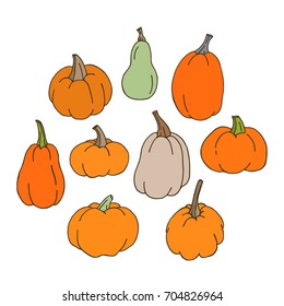 Set of hand drawn pumpkins. Isolated on white background. Vector illustration.Design elements for food package, Halloween poster. Autumn collection.