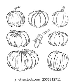 Set of hand drawn pumpkins. Sketch style icon. Decor element. Isolated on white background. Flat design. Vector illustration.