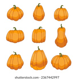 set of hand drawn pumpkins with thin stroke. Cartoon pumpkins, halloween squash, fall harvest gourds. Autumn thanksgiving and halloween pumpkins.Vector flat illustration isolated on white background
