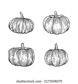 Set of hand drawn pumpkins, vector illustration, on a white background, black lines.