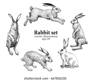 Set of hand drawn rabbit illustrations isolated on white background. Retro vintage illustration.