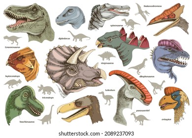 Set of hand drawn realistic dinosaurus.