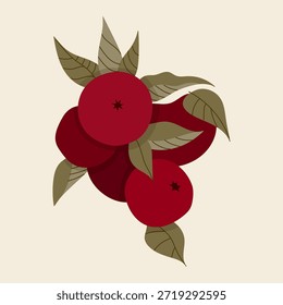 Conjunto de manzanas rojas dibujadas a mano con hojas. Ilustración vectorial, diseño plano
