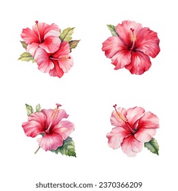 Set of hand drawn red blossom hibiscus flowers, Watercolor tropical hibiscus flower