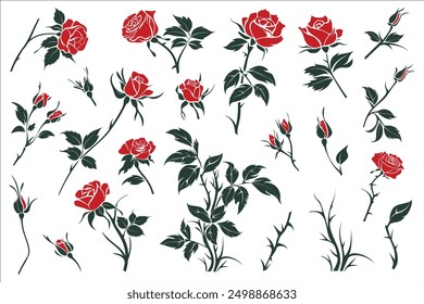 Set of hand drawn red roses. with bloom, buds, branches and leaves