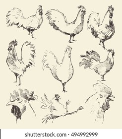 Set of hand drawn roosters, vector illustration, sketch