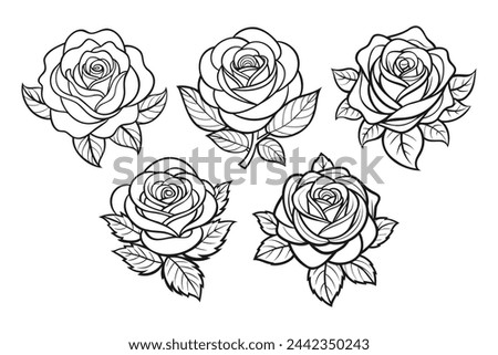 Set of hand drawn roses. Collection of roses. Vector illustration. Isolated on white background.