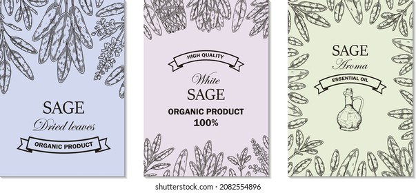 Set of hand drawn sage designs. Vector illustration in sketch style