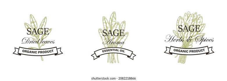Set of hand drawn sage logo designs. Vector illustration in sketch style