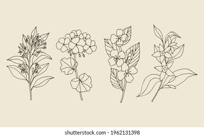 Set of hand drawn sandalwood, geranium, jasmine, vanilla