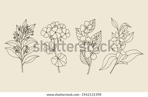 Set\
of hand drawn sandalwood, geranium, jasmine,\
vanilla