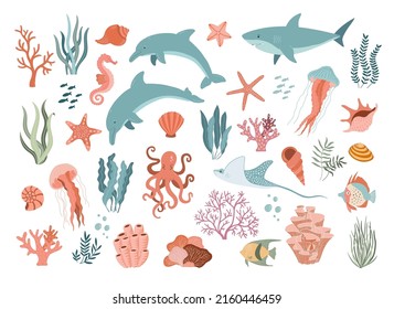 Set with hand drawn sea animals and plants vector illustration.  Fish, jellyfish, dolphins, shark, shells, seaweed and corals.  Beautiful underwater world in cartoon style.  Diving center.