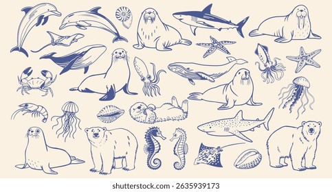 Set of hand drawn sea animals and underwater animals. Sketch outline illustration.
