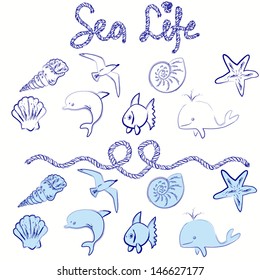 Set of hand drawn sea creatures and shells