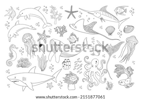 Set with hand drawn sea life elements. Vector outline set of ocean objects. Beautiful underwater world in line style. Fish, shark, jellyfish, octopus, dolphins, shells, seaweed and corals 