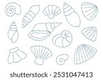 Set of hand drawn sea shell outline vector