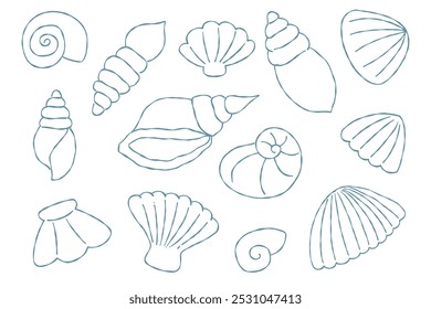 Set of hand drawn sea shell outline vector