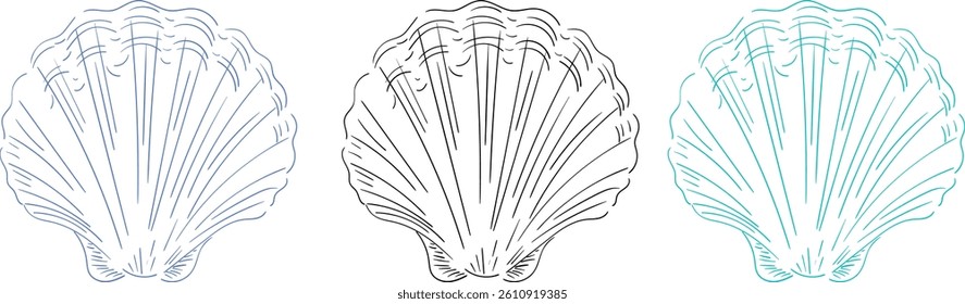 Set of hand drawn sea shell in three color variants. Minimalist line art. Summer vacation design elements for fashion prints, labels, menu cover. Vector flat illustration.
