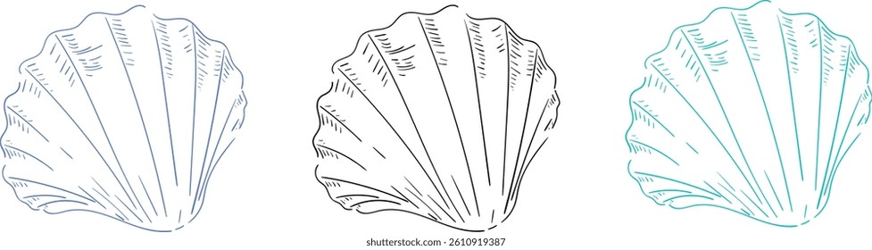 Set of hand drawn sea shell in three color variants. Minimalist line art. Summer vacation design elements for fashion prints, labels, menu cover. Vector flat illustration.