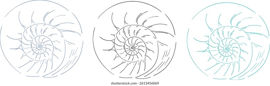 Set of hand drawn sea shell in three color variants. Minimalist line art. Summer vacation design elements for fashion prints, labels, menu cover. Vector flat illustration.