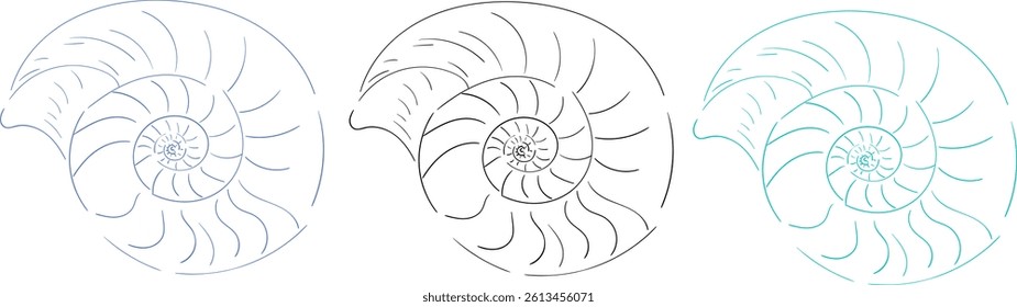Set of hand drawn sea shell in three color variants. Minimalist line art. Summer vacation design elements for fashion prints, labels, menu cover. Vector flat illustration.