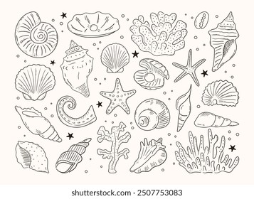 Set of hand drawn sea shells, conch, tentacle, starfish, corals. Outline marine drawings. Sketch silhouettes of seashore elements. Vector illustration