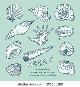 Set of hand drawn sea shells