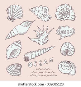 Set of hand drawn sea shells