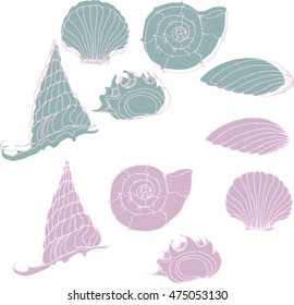 Set with  hand drawn sea shells. Marine illustration of shellfish. 