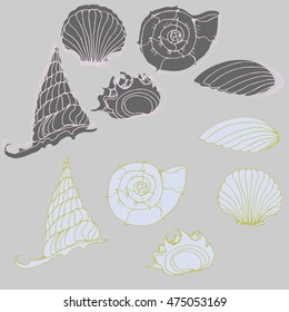 Set with  hand drawn sea shells. Marine illustration of shellfish. 