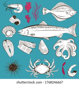 Marisco y pescado a mano. Camarón, pescado, vieiras, pulpo, erizo y cangrejo. Ilustración del vector