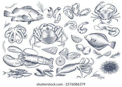 Set of hand drawn seafood and fish in line art style
