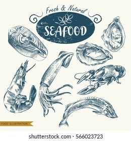 Set of hand drawn seafood isolated on white background. Seafood sketch elements. Retro hand-drawn clams, fish, squid, shrimp, lobster vector illustration. Great for poster, banner, voucher, coupon.