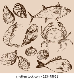 Set of hand drawn seafood, vector illustration