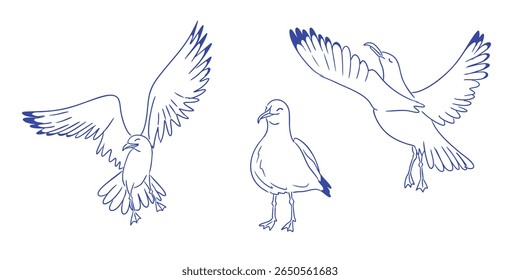Set of hand drawn seagulls in different poses, flying and standing, with minimal blue line art style. Concept of freedom, coastal life, and light natural elegance.