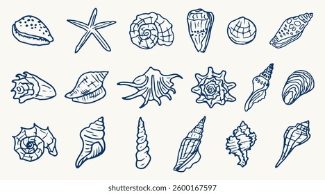 Set of hand drawn seashells. Beach seashells in line style in blue. Design elements for posters, menu, summer season. Trendy design in ink style