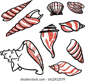 Set of hand drawn seashells: conch shells, scallop, whelk shells etc. Isolated on white.