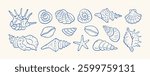 Set of hand drawn seashells drawing ink. Minimalist line art. Summer vacation design elements for trendy prints, label, menu cover. Tropical beach shells. Vector flat illustration.