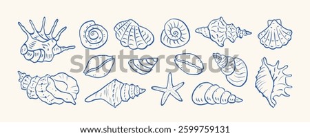 Set of hand drawn seashells drawing ink. Minimalist line art. Summer vacation design elements for trendy prints, label, menu cover. Tropical beach shells. Vector flat illustration.