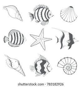 Set of hand drawn seashells and fish. Vector illustration.