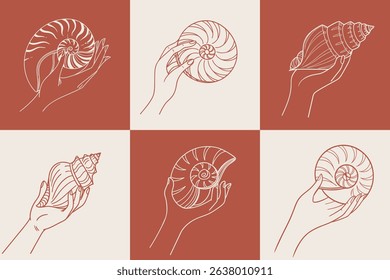Set of hand drawn seashells in hands. Hands holding seashells. Line art style illustration.