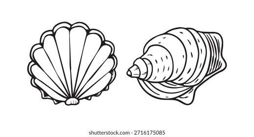 Satz von handgezeichneten Muscheln einzeln auf weißem Hintergrund