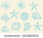 Set of hand drawn seashells and pencils, ink. Minimalist line art. Summer holidays design elements for fashion prints, labels, menu cover. Tropical beach shells. Vector flat illustration.