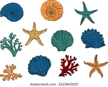 Set of hand drawn seashells and pencils, ink. Minimalist line art. Summer holidays design elements for fashion prints, labels, menu cover. Tropical beach shells. Vector flat illustration.