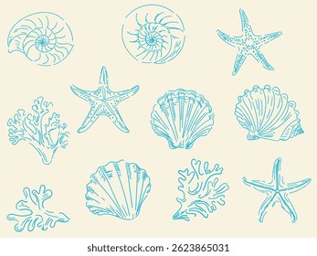 Set of hand drawn seashells and pencils, ink. Minimalist line art. Summer holidays design elements for fashion prints, labels, menu cover. Tropical beach shells. Vector flat illustration.