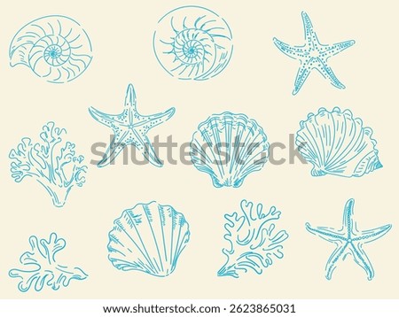 Set of hand drawn seashells and pencils, ink. Minimalist line art. Summer holidays design elements for fashion prints, labels, menu cover. Tropical beach shells. Vector flat illustration.