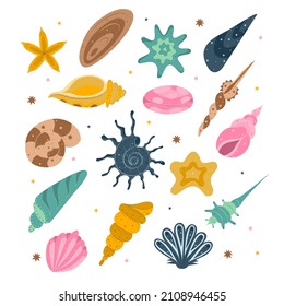 Set of hand drawn seashells and starfish. Shells of mollusks of various forms. Vector illustration